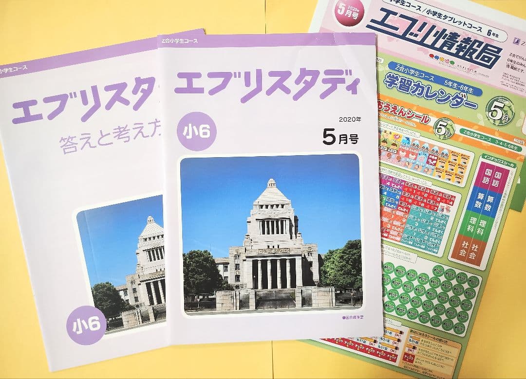 Z会 小6 エブリスタディ ハイレベル1年分