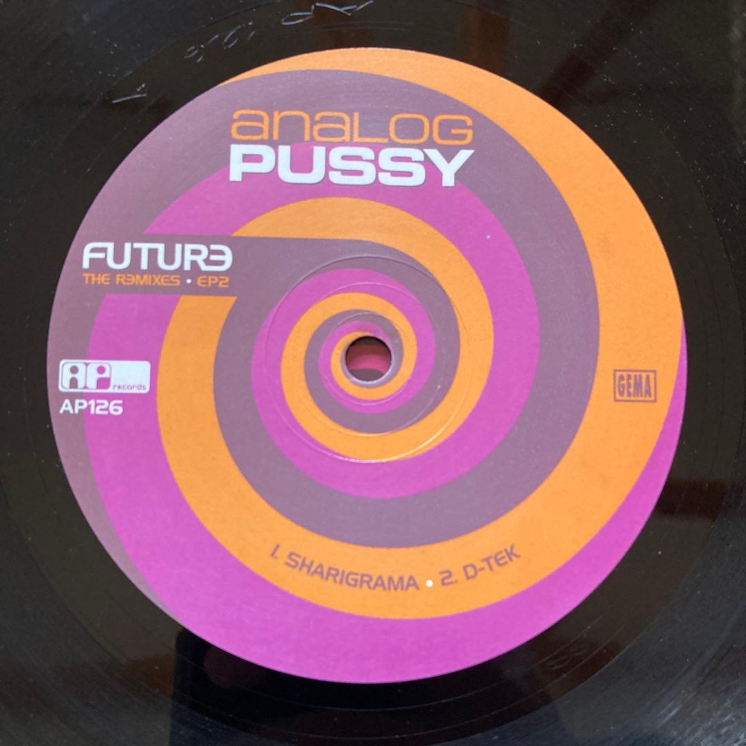2004 ‎ Analog Pussy 2枚セット DEEP PURPLEネタ