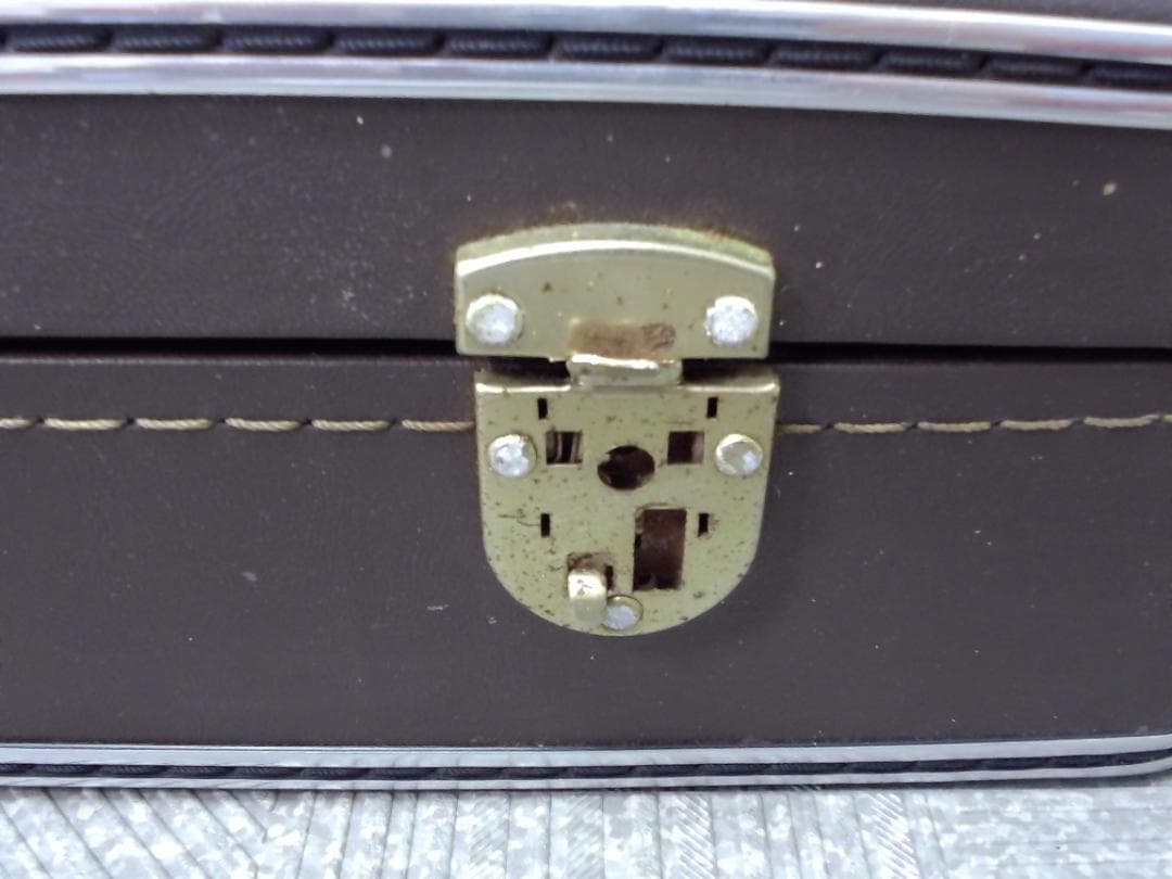 ひ*ろ様 14FF3456 蛇柄 へび柄　三味線　ハードケース付