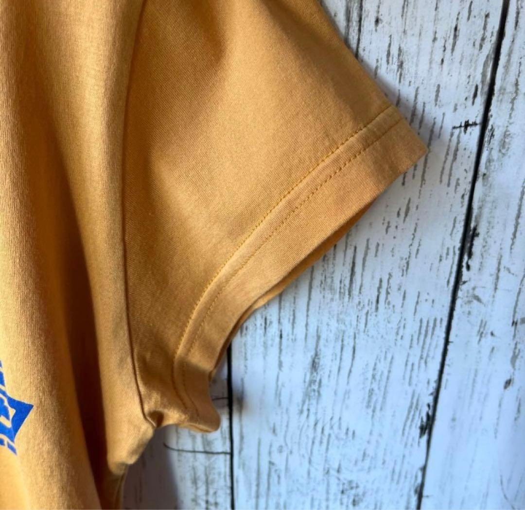【最高デザイン】ヒステリックグラマーtシャツ【F】バックプリント⭐︎入手困難