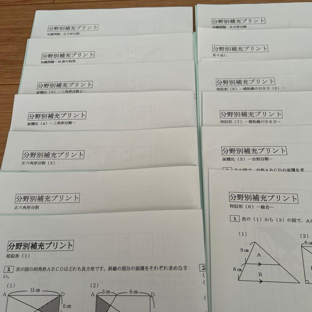 SAPIX 6年 算数 分野別補充プリント1~20全フルセット最新版
