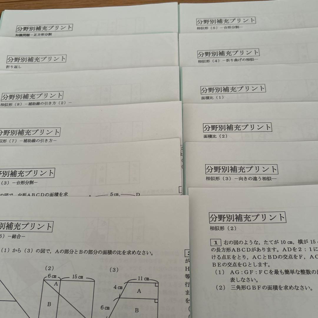 SAPIX 6年 算数 分野別補充プリント1~20全フルセット最新版