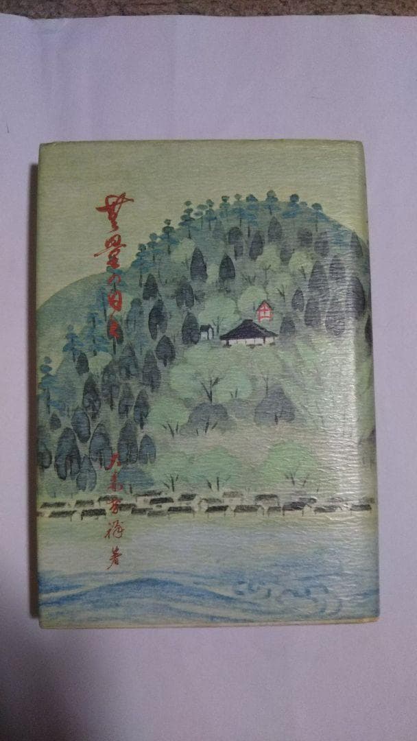 無量の日々 大森智祥 　辯天宗