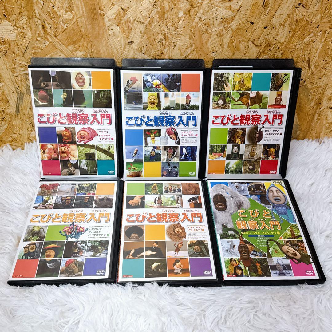 こびと観察入門 DVD 6本セット　こびとづかん　ずかん