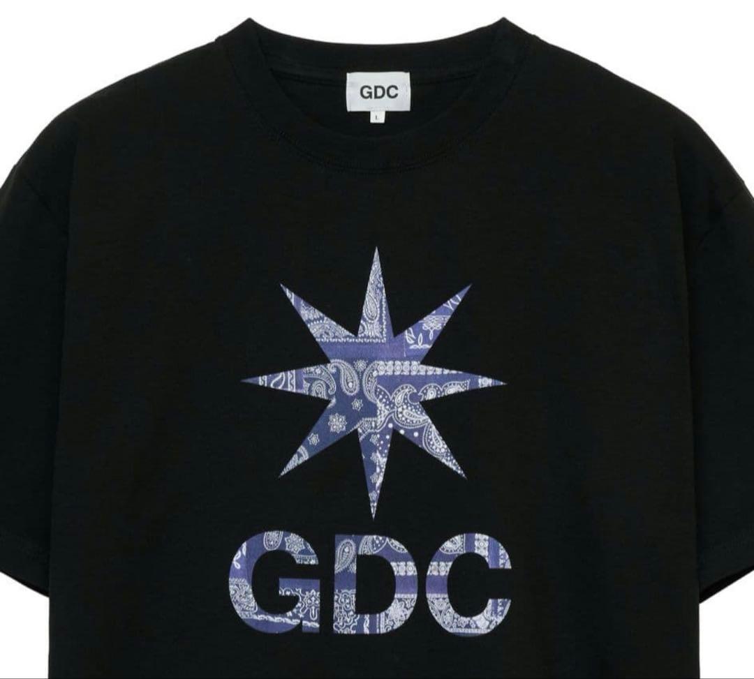即完 GDC×MIYAGI HIDETAKA Tee BLACK サイズL