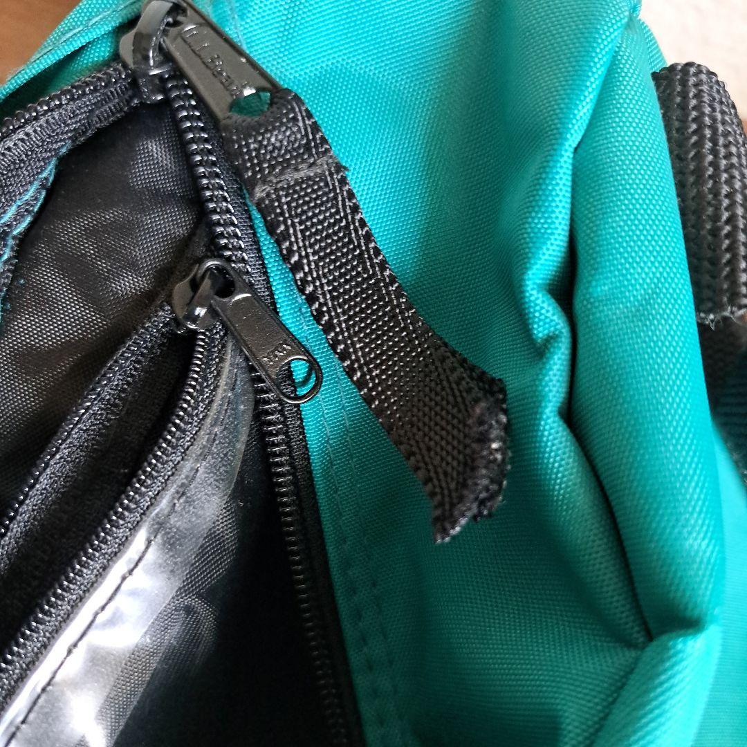 【極美品、希少】L.L.Bean エルエルビーン　ドラムバッグ　ヤモリ柄　90s