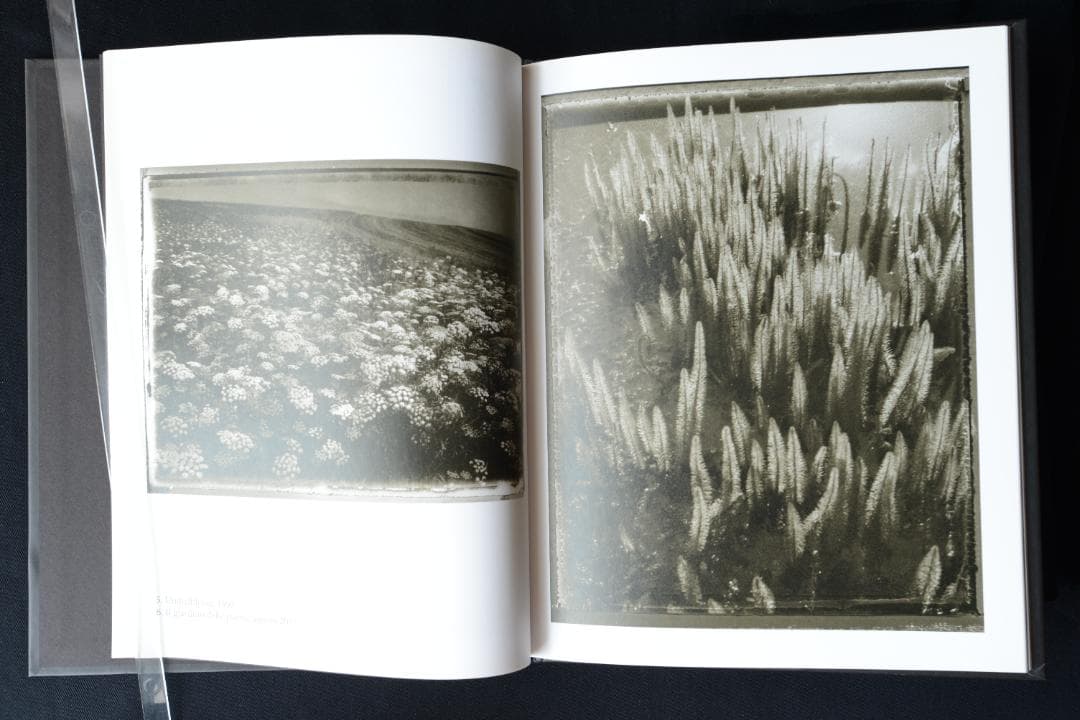 【Sarah moon：Alchimie】サラ ・ムーン