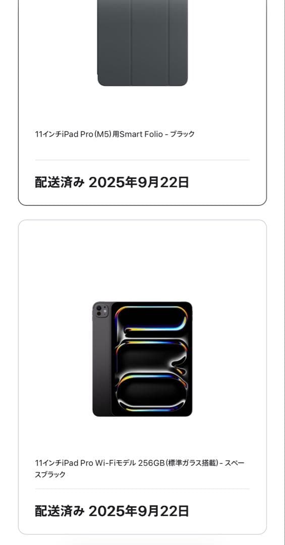 Apple 11インチ iPad pro （M4） Wi-Fiモデル ケース付き