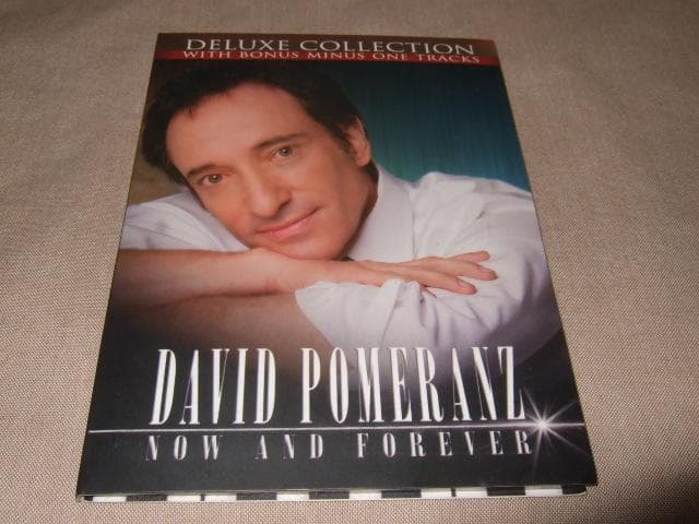 洋楽 DAVID POMERANZ,AOR,DAVID FOSTER,TOTO