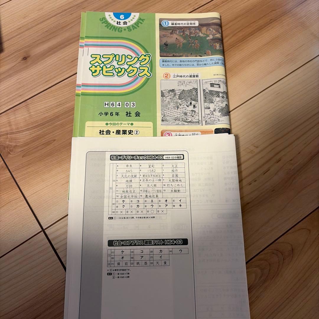 sapix6年 社会