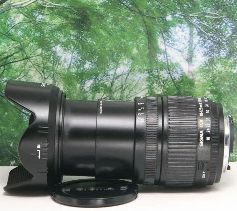 ❤普段使いこれ１本あればラクラク♪ SIGMA 18-125mm Nikon用❤
