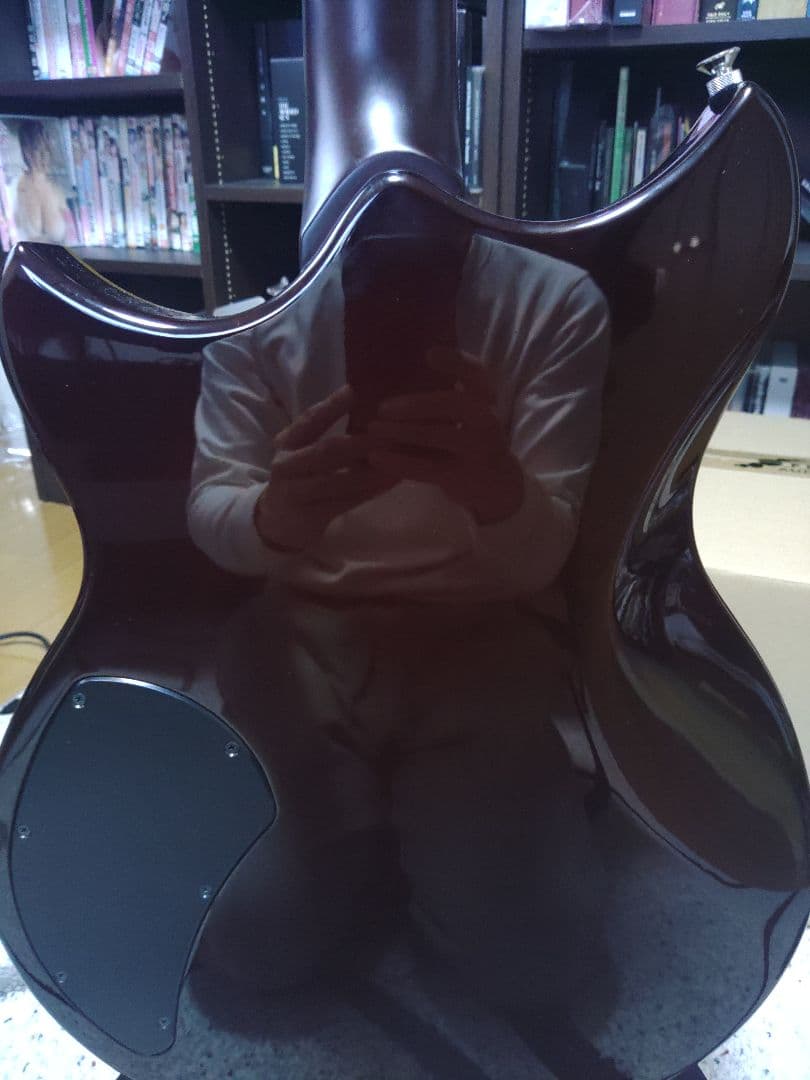 ギター YAMAHA RSP20X Revstar