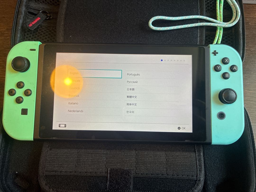 【おまけ付】Nintendo Switch あつまれ どうぶつの森 特別デザイン