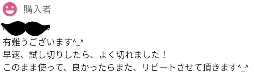 10%セニングシザー切れ味抜け抜群カットシザー美容師プロ用ハサミ人気の溝なし✨