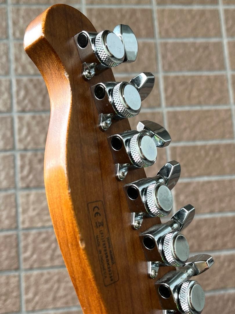 【動作◯】 Harley Benton Pro Series テレキャス